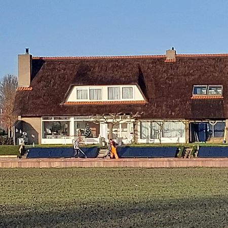 Riethove Bed & Breakfast Harlingen Bagian luar foto