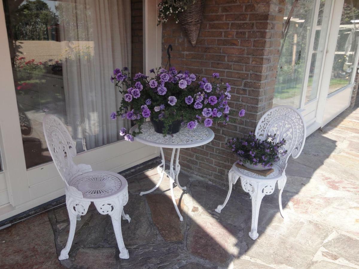Riethove Bed & Breakfast Harlingen Bagian luar foto