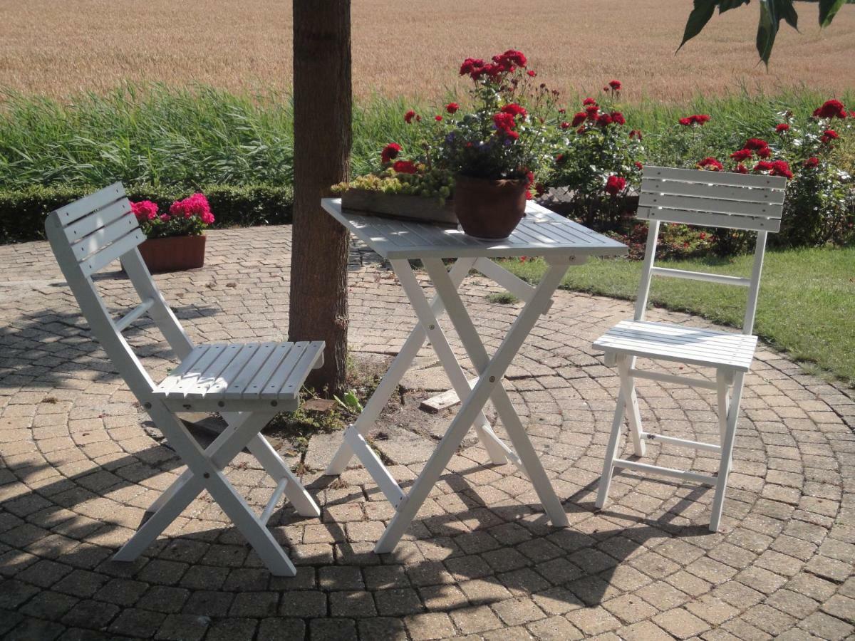 Riethove Bed & Breakfast Harlingen Bagian luar foto