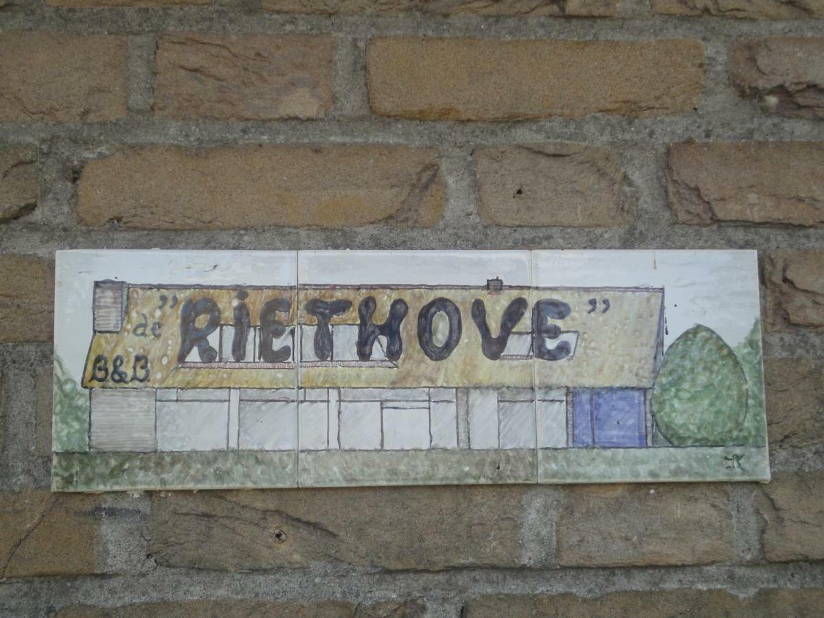 Riethove Bed & Breakfast Harlingen Bagian luar foto