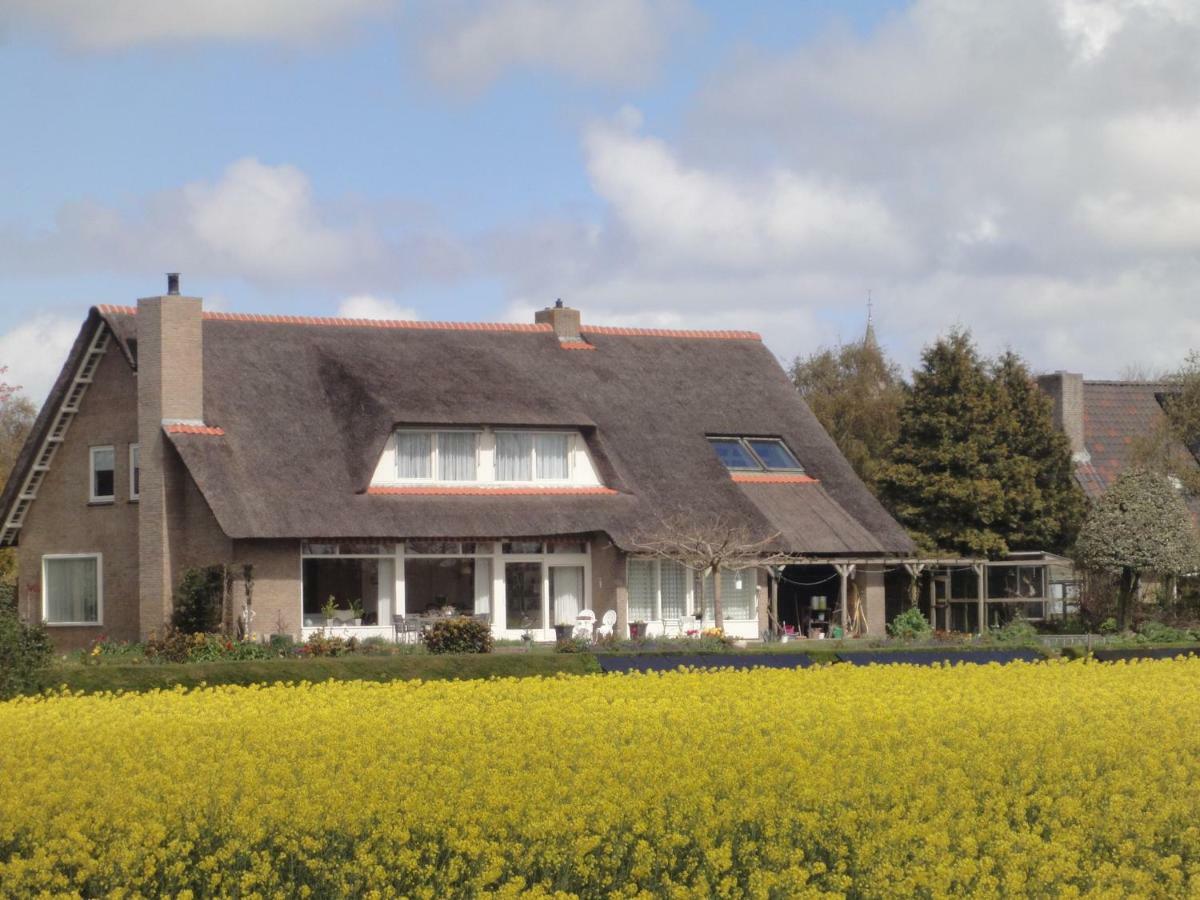 Riethove Bed & Breakfast Harlingen Bagian luar foto